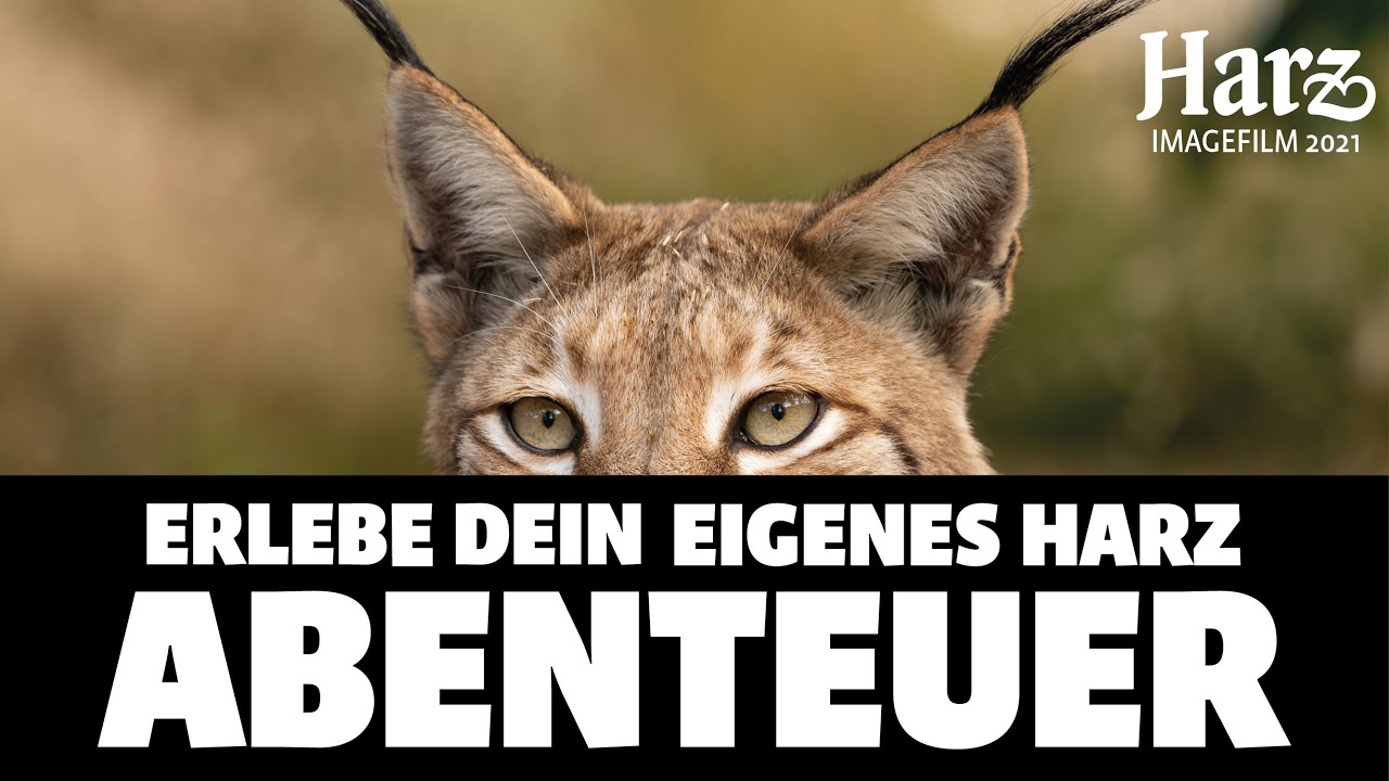 ERLEBE DEIN EIGENES HARZABENTEUER! - Der offizielle Harz Imagefilm 2021