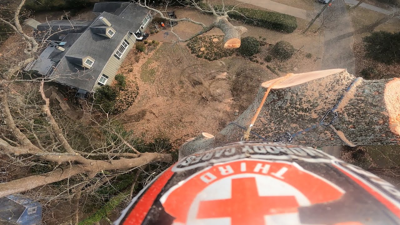Finishing a 120 ft oak that a crane couldn't