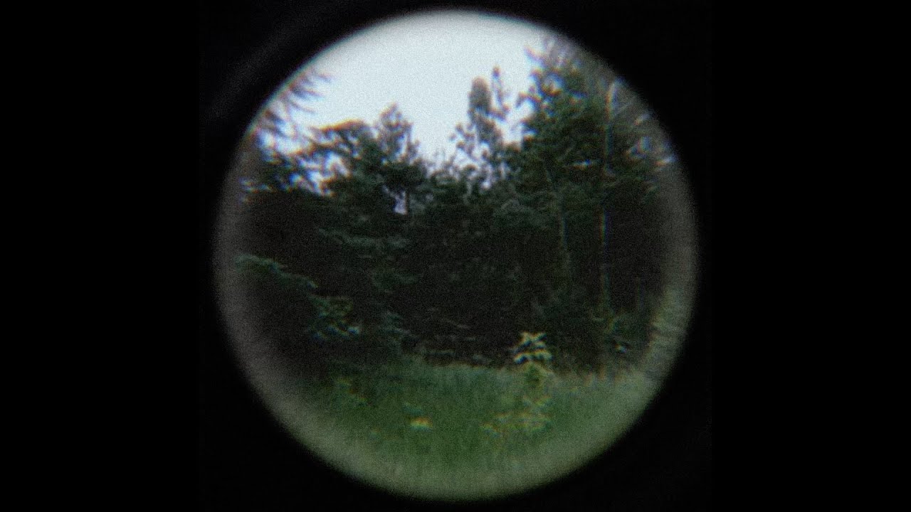 ✦ free ambient yung lean / no drums type beat 