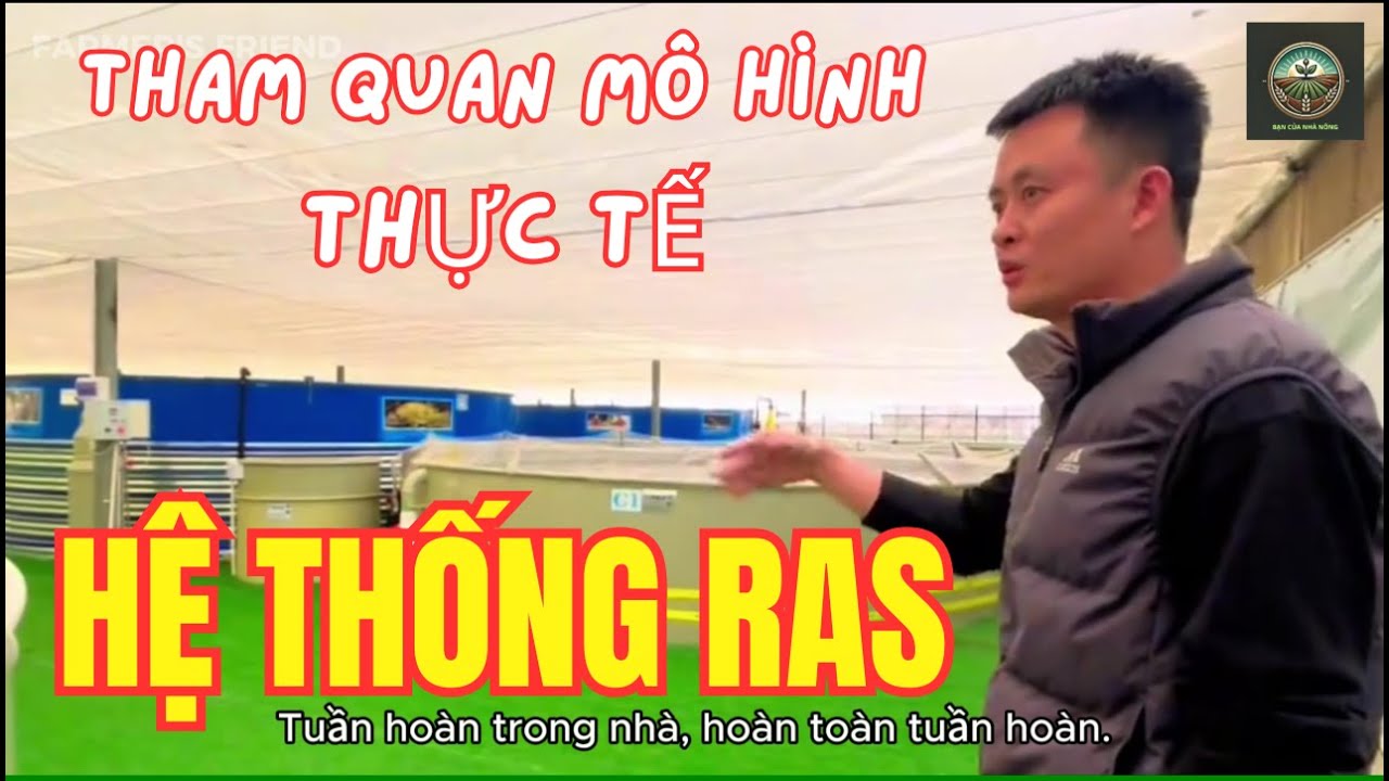 Khám Phá Trang Trại Nuôi Cá Rô Phi Ứng Dụng Công Nghệ Tuần Hoàn Nước RAS