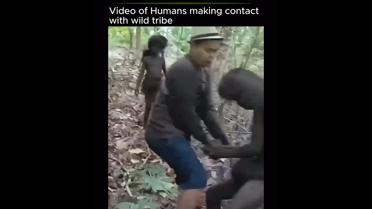 First time Human&rsquo;s making contact with untouchable Tribe #fyp #explore #explorepage #viral #views