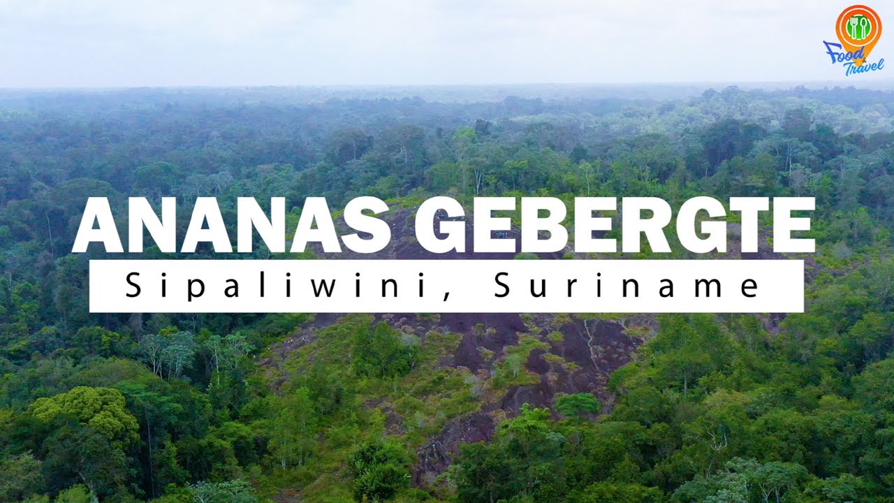 Ananas Gebergte | Sipaliwini - Suriname | Food And Travel