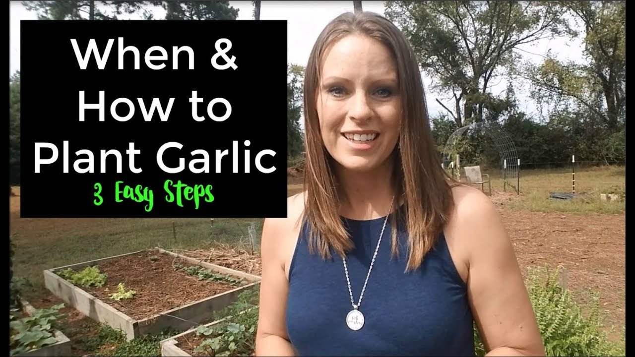How and When to Plant Garlic