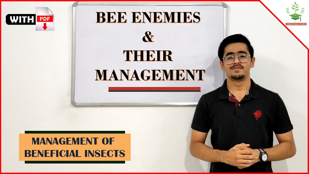 BEE ENEMIES & THEIR MANAGEMENT ( APICULTURE PART 4 )