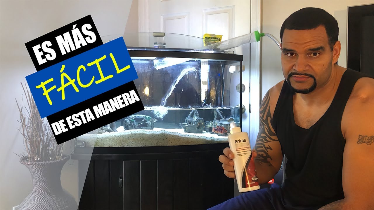 Cambia el Agua de tu Pecera como un Experto 🐠 (RÁPIDO Y FÁCIL)