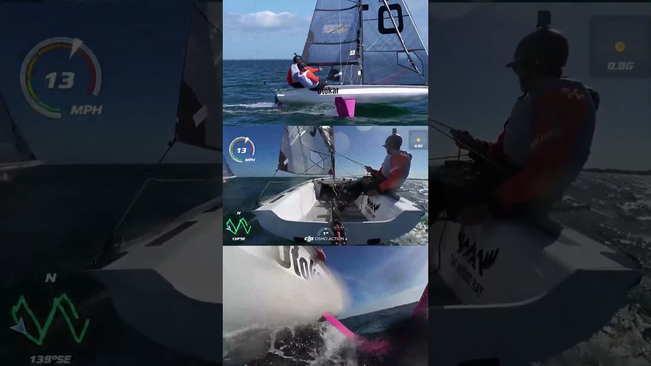 They took part in a foiler race, sound is insane ! | BirdyFish