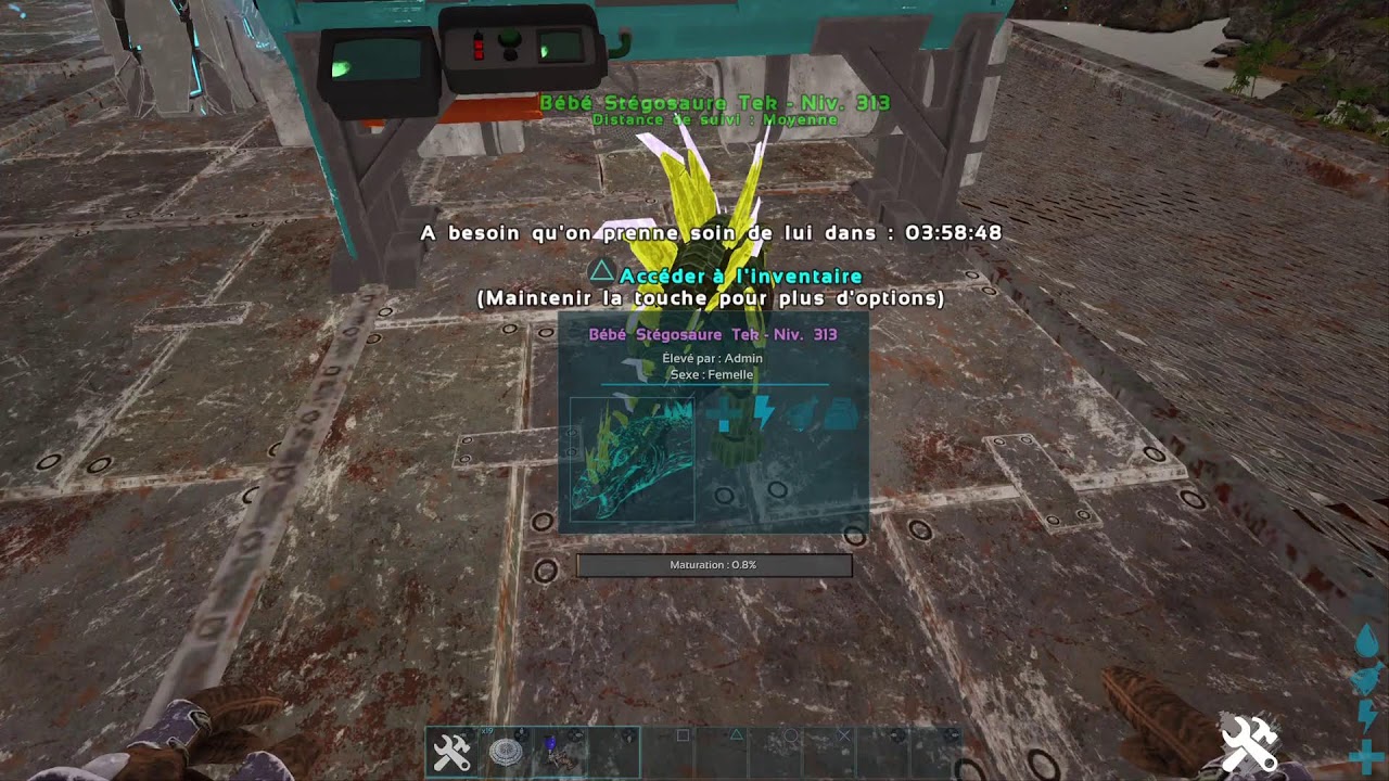 [FR] ARKANIA PVP X20 NOWIPE [Admin][ARK][PS5] PSN Minebow2003