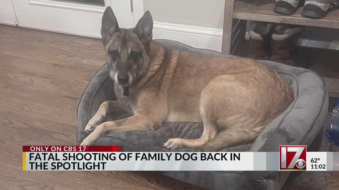 Wake County Deputy dog shooting case back in spotlight