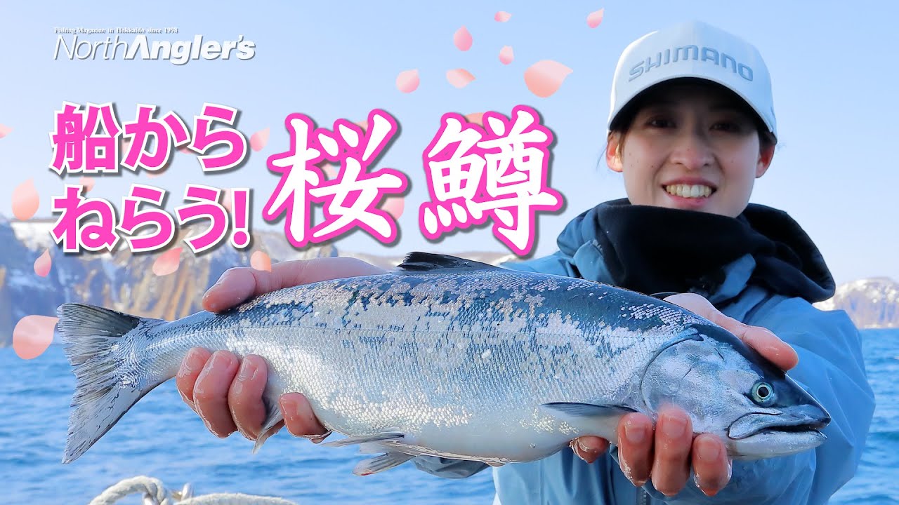 美味しいゲストも続々登場！船からねらうサクラマス