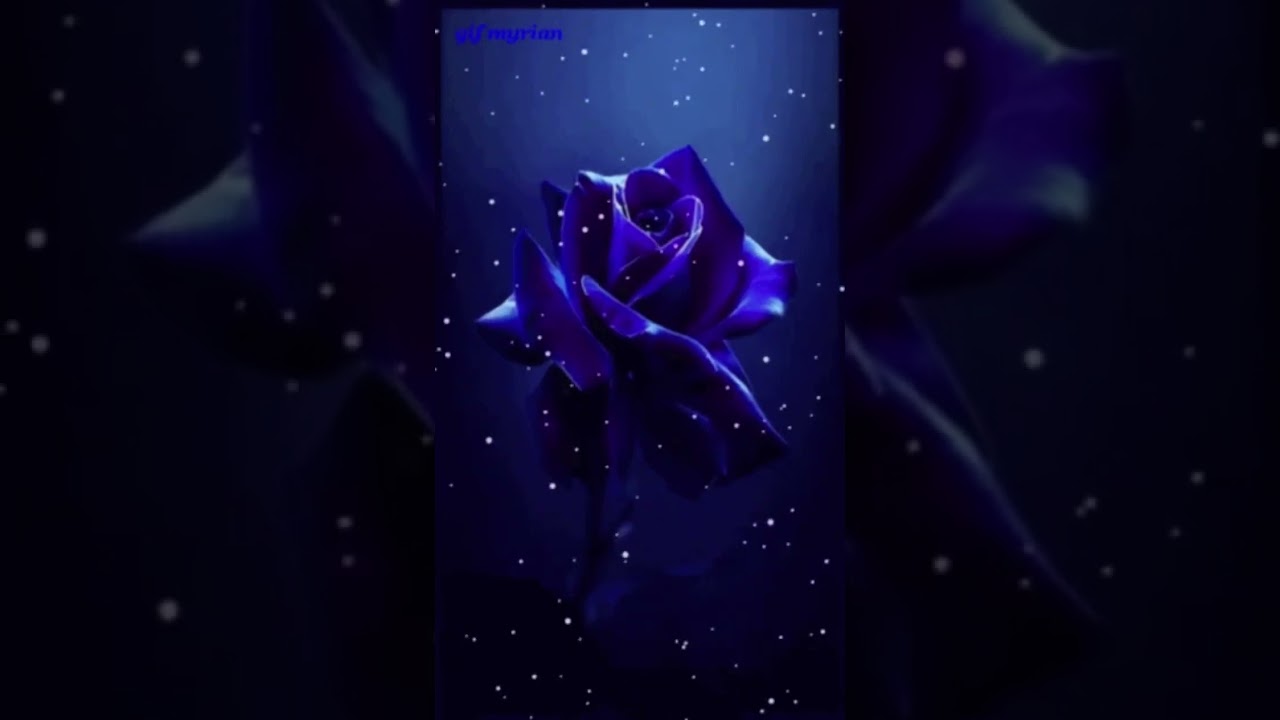 TheFatRat- Fly Away- Slowed + Echo