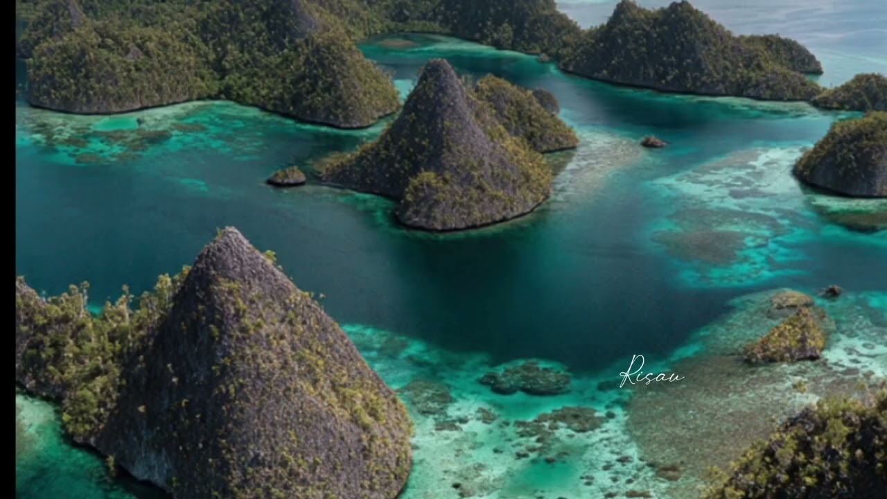 Risau | Arcila Grizelle