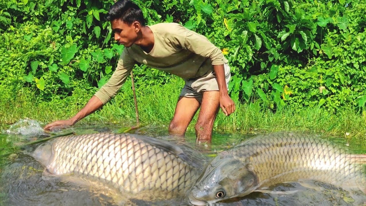 New Fishing 2022 | Bamboo Hook Fishing | Beautiful Boys Hook Fishing Video | Amazing Hook Fishing