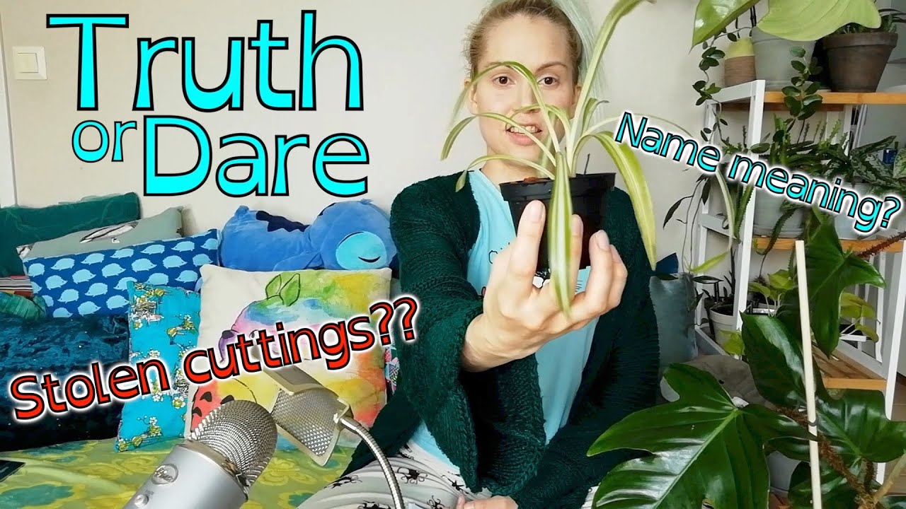 TRUTH or DARE Tag | My Secrets Revealed | Cozy Chat