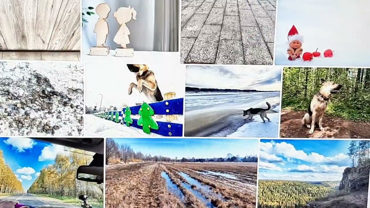 20240120 Что я снимала для фотобанков, что брали, а что нет