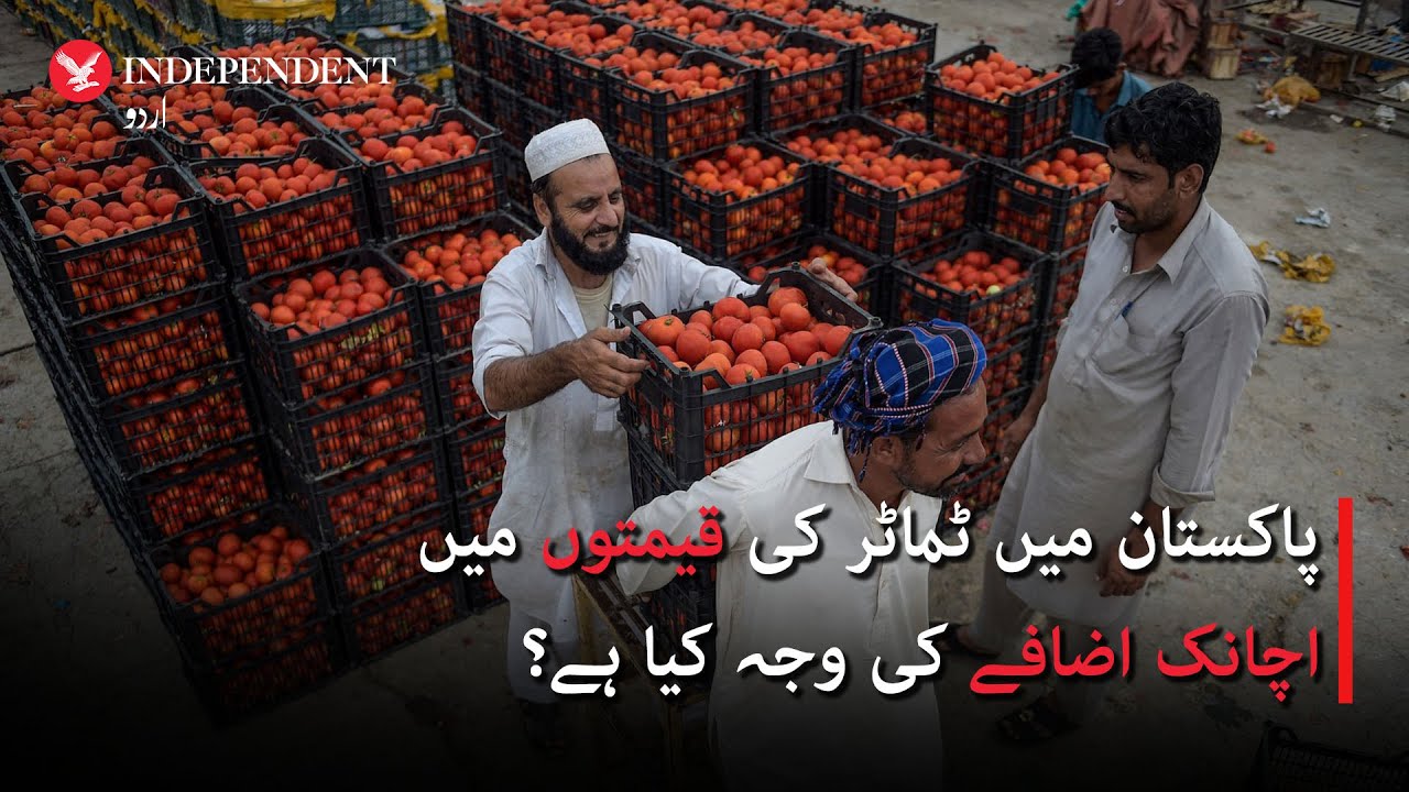 Reason for sudden increase in tomato prices in Pakistan?