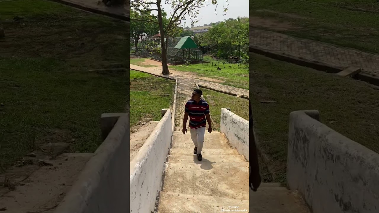 A Trip to the Kumasi Zoo🐒🦁🐍🐘🦛 I had a wonderful day at the zoo. 