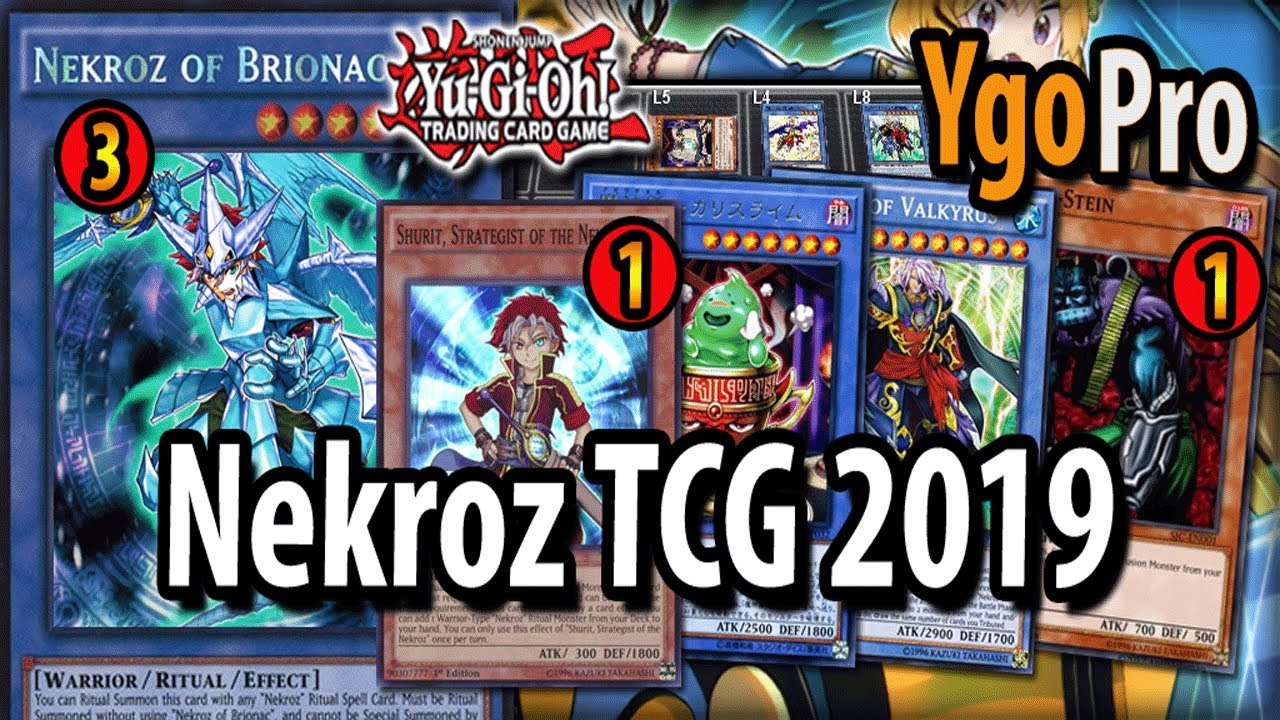 Nekroz NEW FORMAT!! | TCG 2019 (vs. Salamangreat)