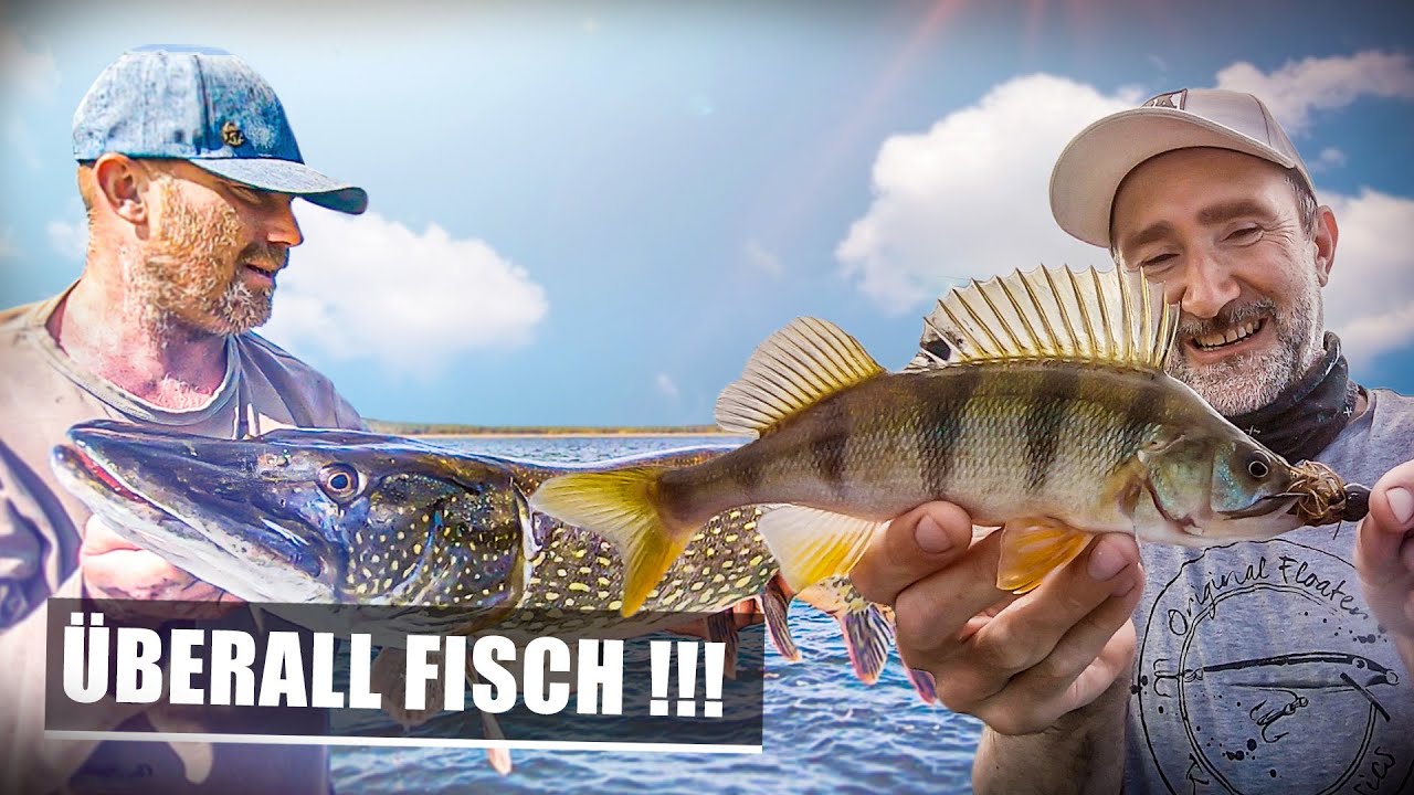 Hecht und Barsch: FRANSEN-JIGS provozieren ESKALATION!