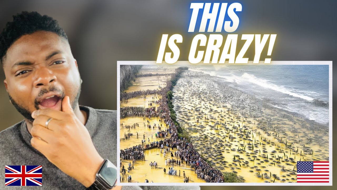 WHAT HAPPENS IF SOMEONE INVADES AMERICA? -  Brit Reacts