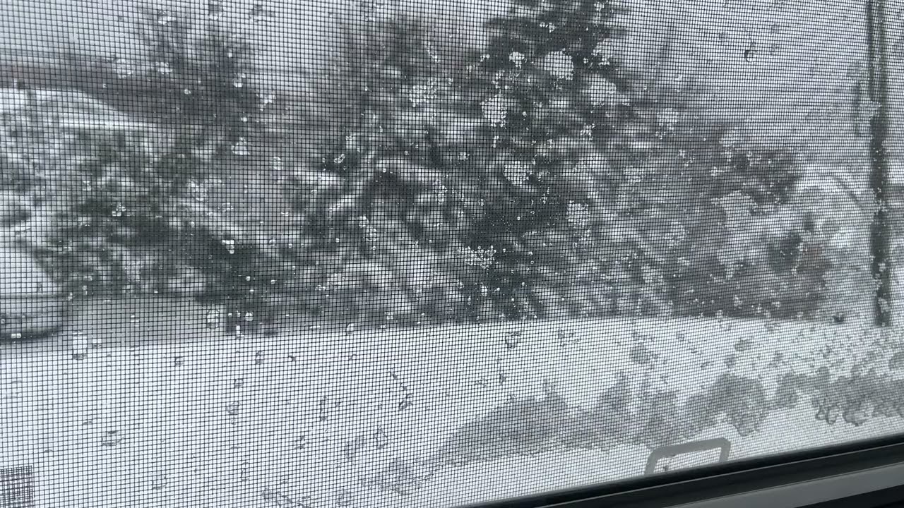 欧洲历史 之 宗教改革 教会颂布的 《婚姻与家庭计划》改变欧洲社会结构 