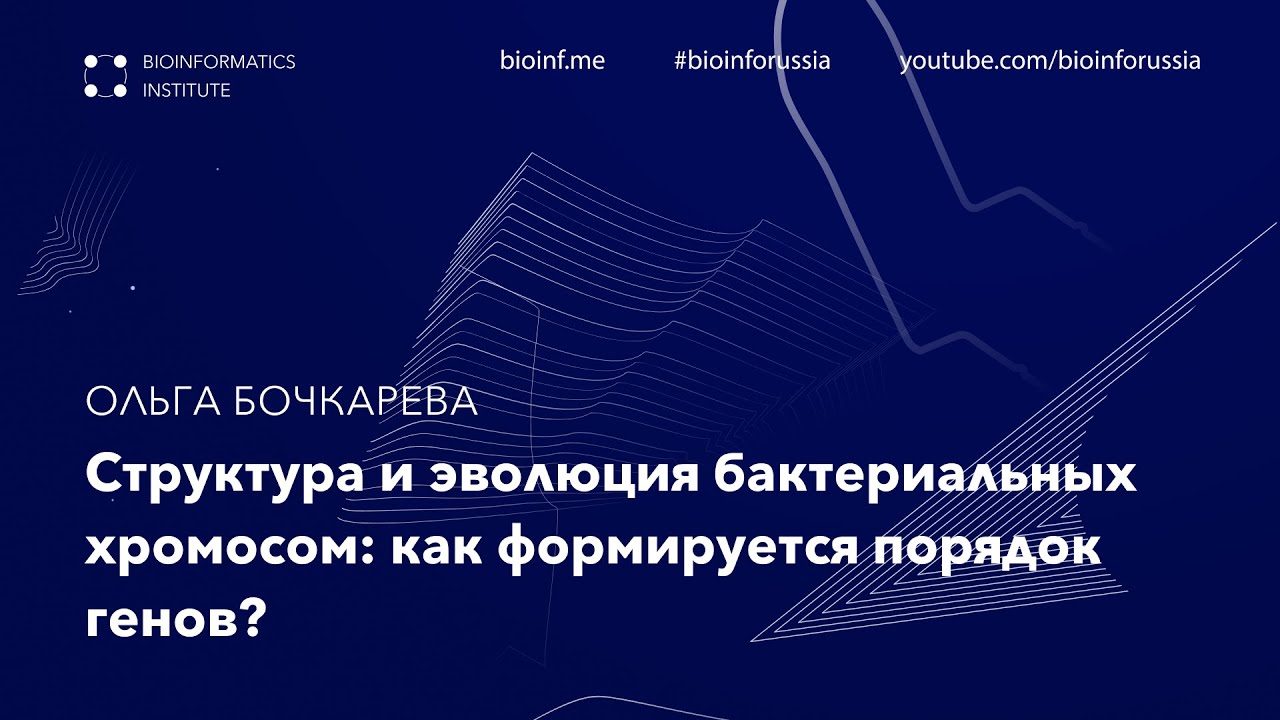 Структура и эволюция бактериальных хромосом: как формируется порядок генов? | Ольга Бочкарева.
