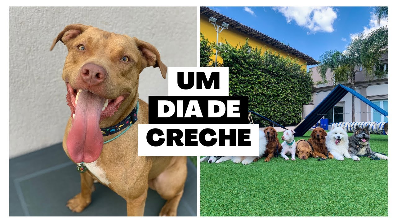 Um dia de creche comigo | vlog + rotina