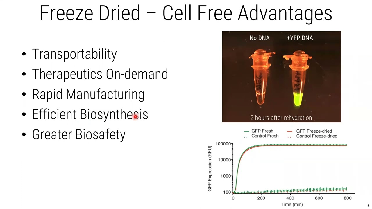 Build-a-Cell seminar Peter Nguyen: Freeze-Dried Cell-Free Synthetic Biology