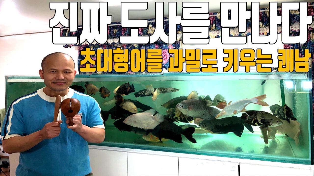 도사를 찾다가 진짜 열대어 도사를 만났습니다 [애니몰로TV]