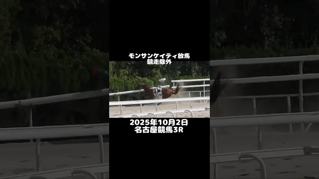 モンサンケイティ放馬競走除外#shorts #horse #競馬