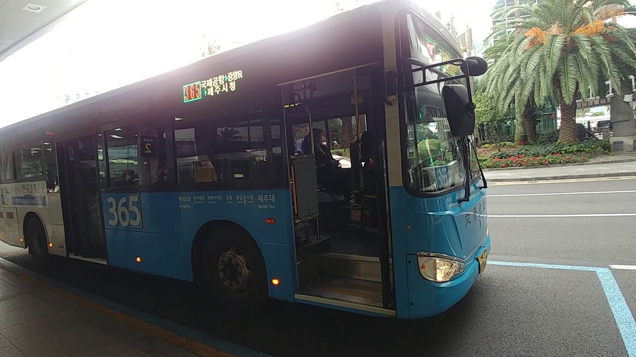 IJTV 제주올레8코스 월평아왜낭목 쉼터에서 대평리포구 8-2차방문-1.  제주공항에서 천제연폭포 이동1 제주공항 466번 버스 승차(설명 참조하셔요!)