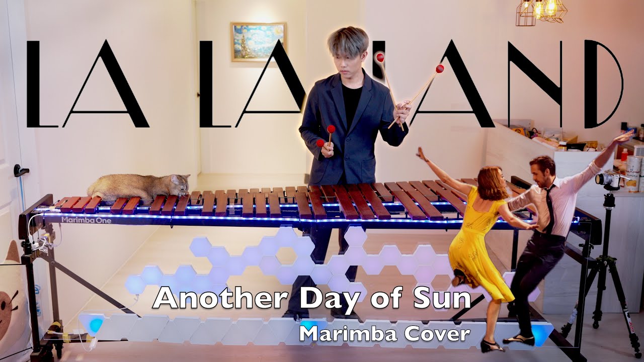 Another Day of Sun (La La Land) | Marimba Cover |マリンバ 演奏 | 마림바