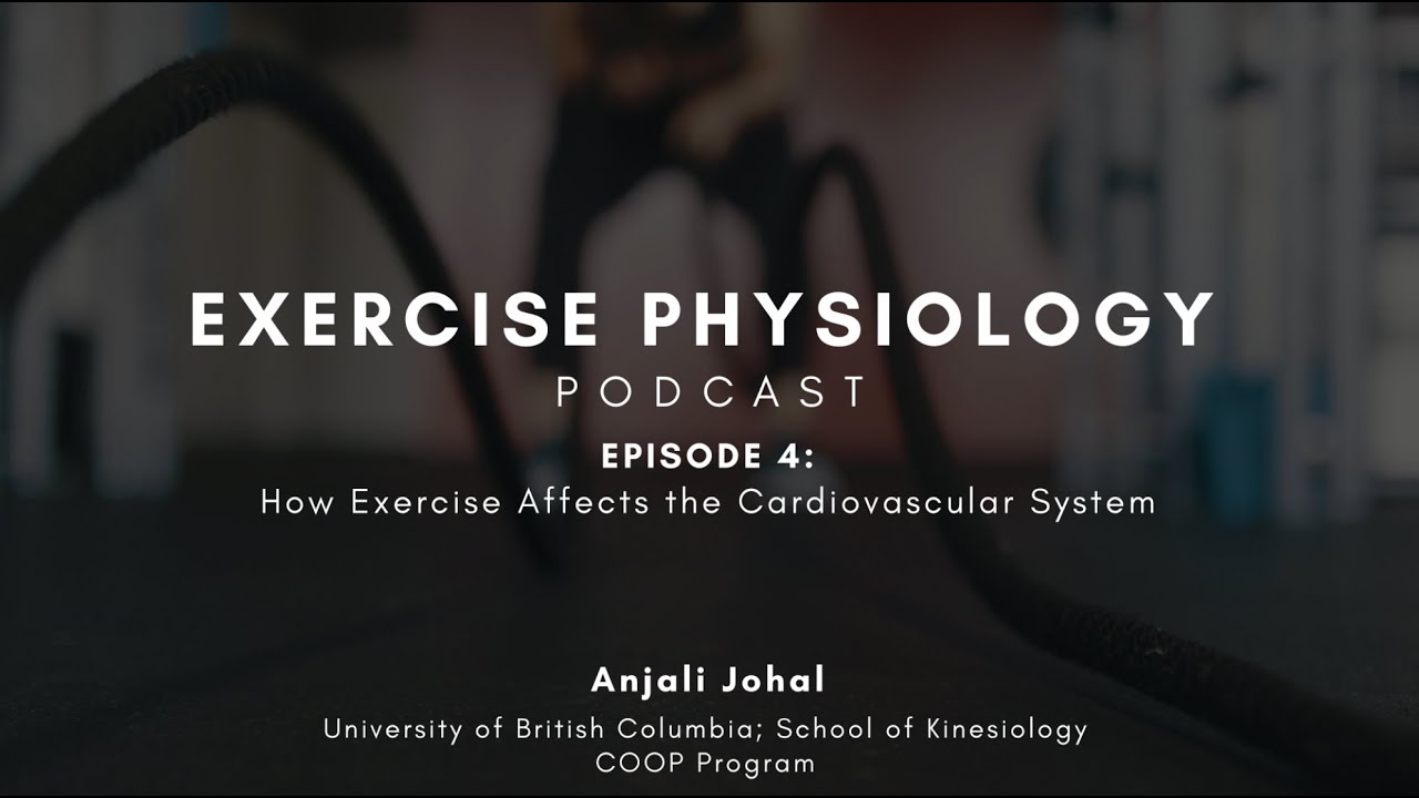 How Exercise Affects the Cardiovascular System - Exercise Physiology Podcast Ep. #4