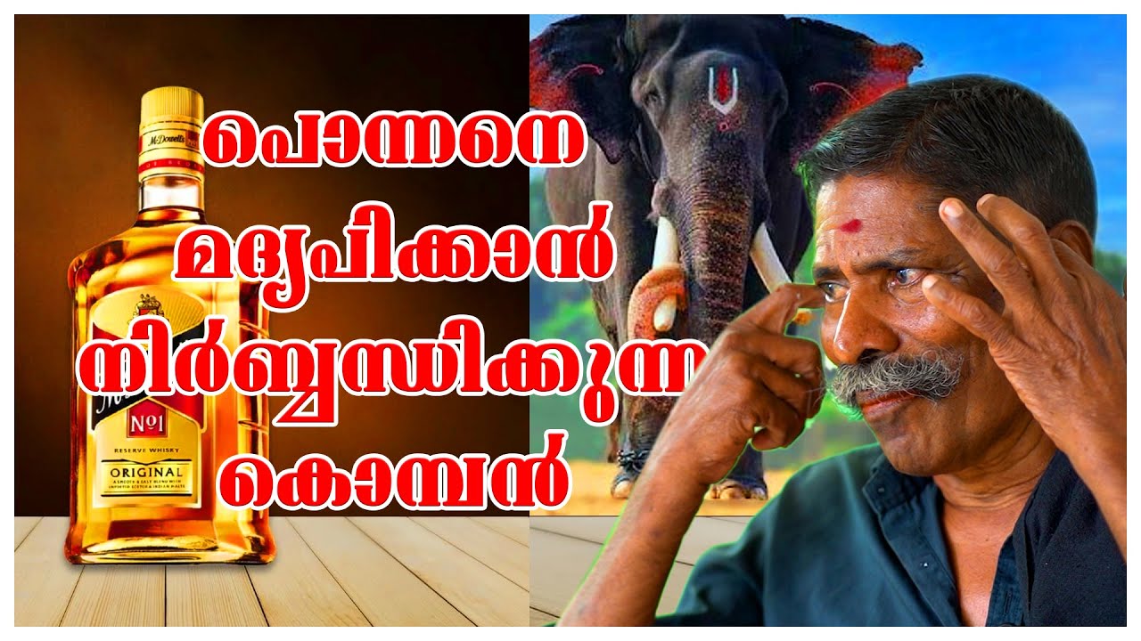 ONAKKOOR PONNAN | MALAYALAM VLOGS | ELEPHANT KERALA | ANA PAPPAN | ERNAKULAM PAPPAN | EPISODE 06