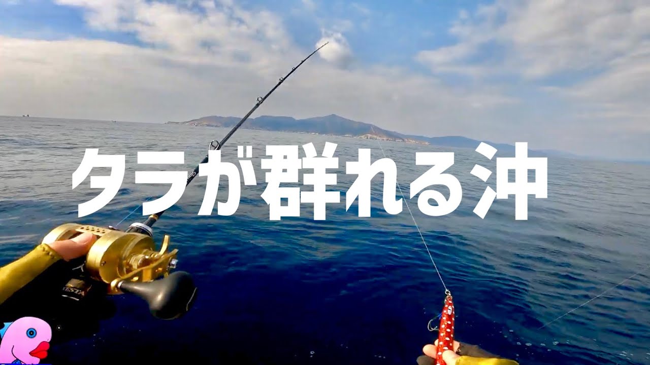 #2宮城遠征釣り旅！有名な金華山沖に異常な量のイワシ！タラの巣を攻める