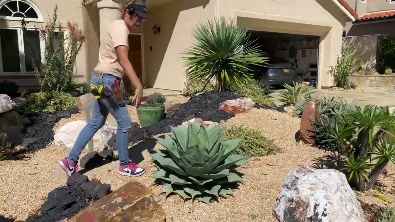 Succulent Garden Maintenance One Year In🎉