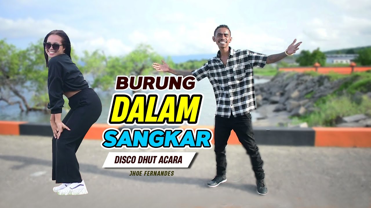 BURUNG DALAM SANGKAR🌴DISCO DANGDUT REMIX TERBARU