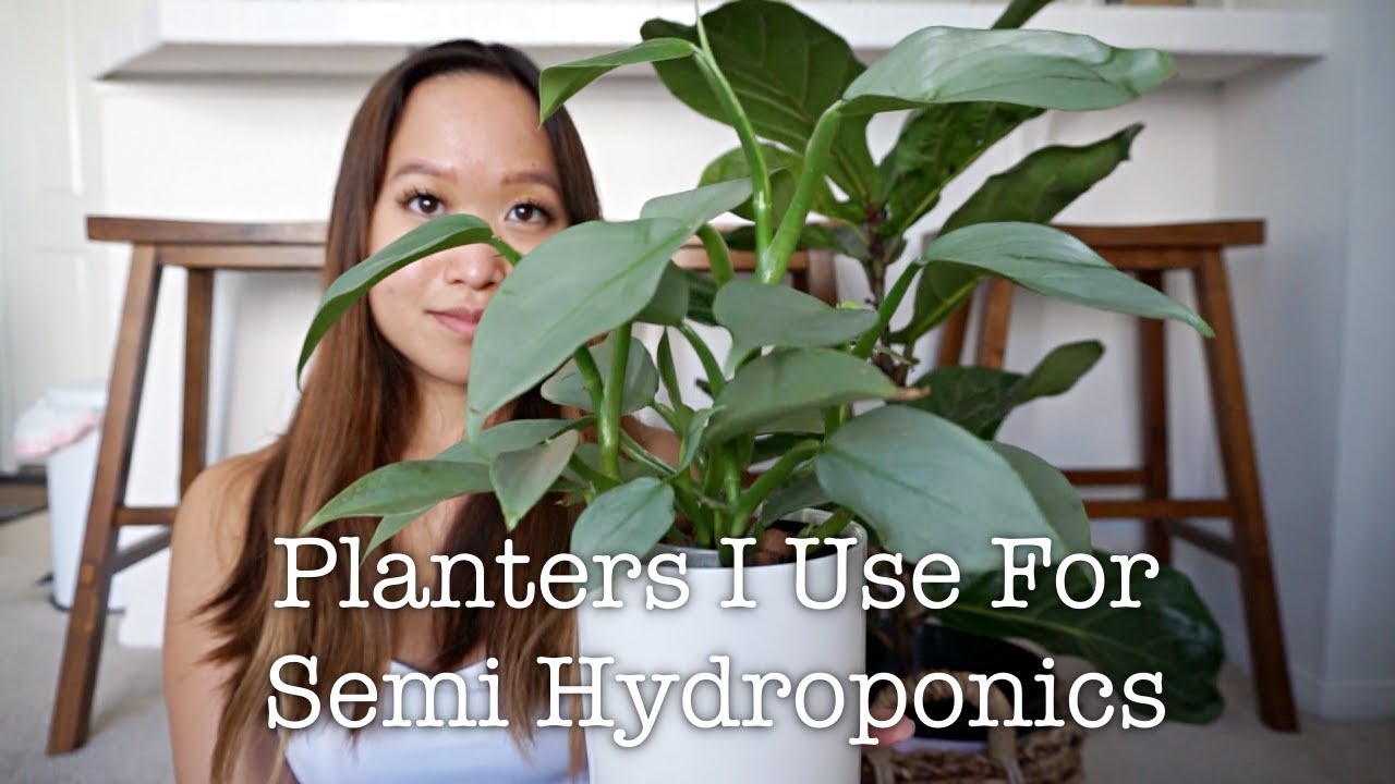 SEMI HYDROPONICS | NURSERY POTS AND PLANTER IDEAS