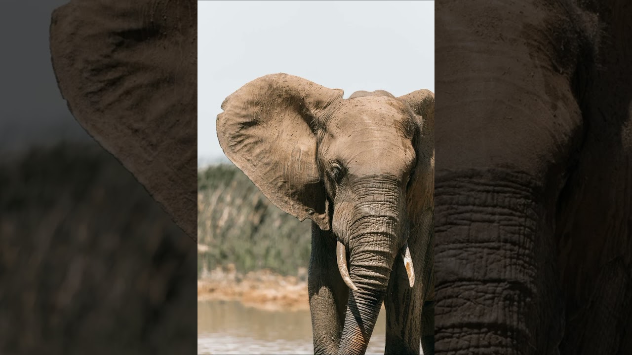 @optimistic_life786 Moral Stories Insaan Ki Jahaalat Urdu/Hindi انسان کی جہالت اخلاقی کہانی