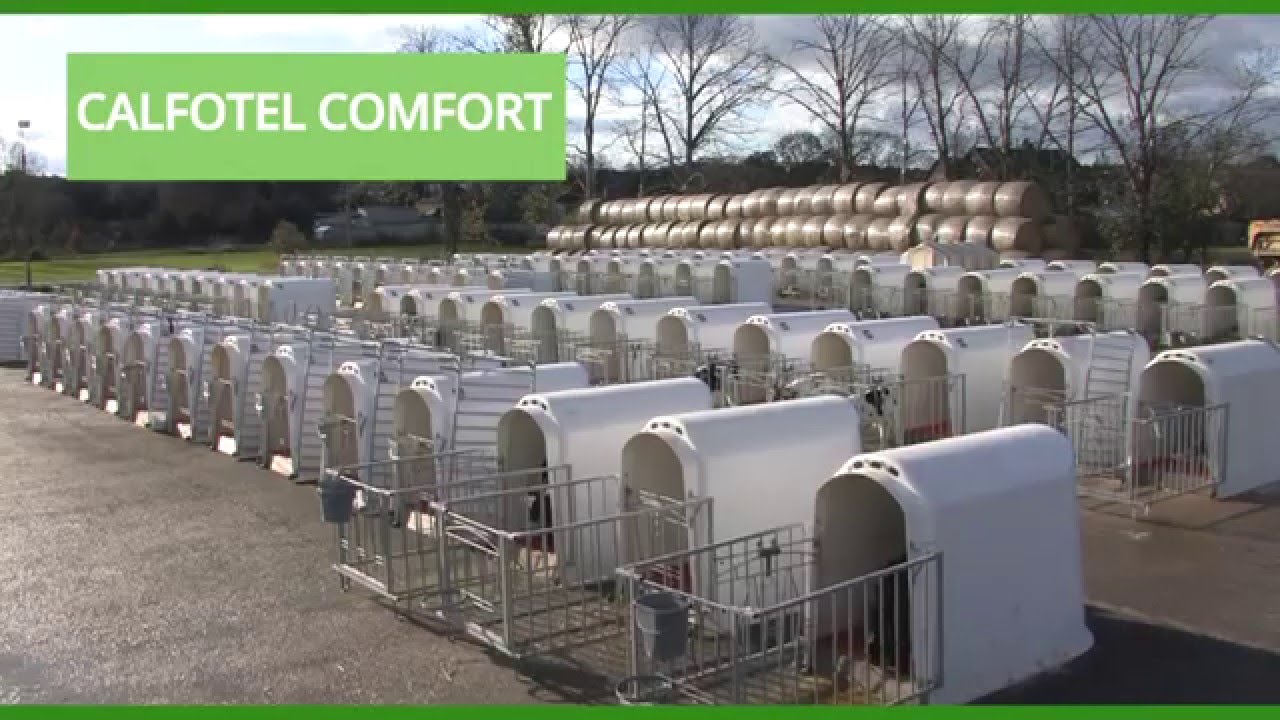 VDK CalfOTel COMFORT3 zonder roosters
