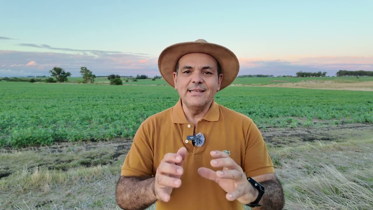 La soja muy exigida en la mitad delpaís replantea el escenario agrícola