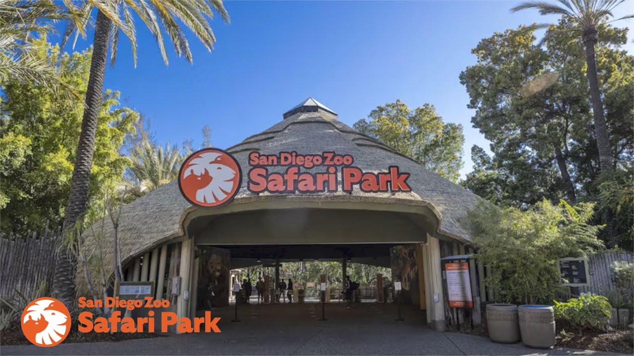 My Full Tour of the San Diego Zoo Safari Park in San Diego, California