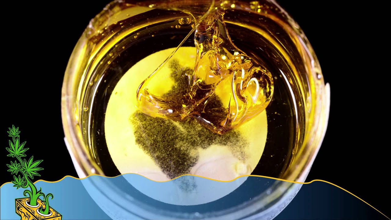 2014 HIGH TIMES Denver Medical Cannabis Cup Concentrate Entries