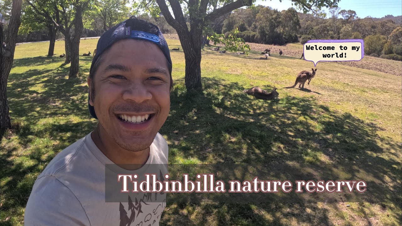 Tidbinbilla Nature Reserve: A Hidden Gem in Canberra, Australia