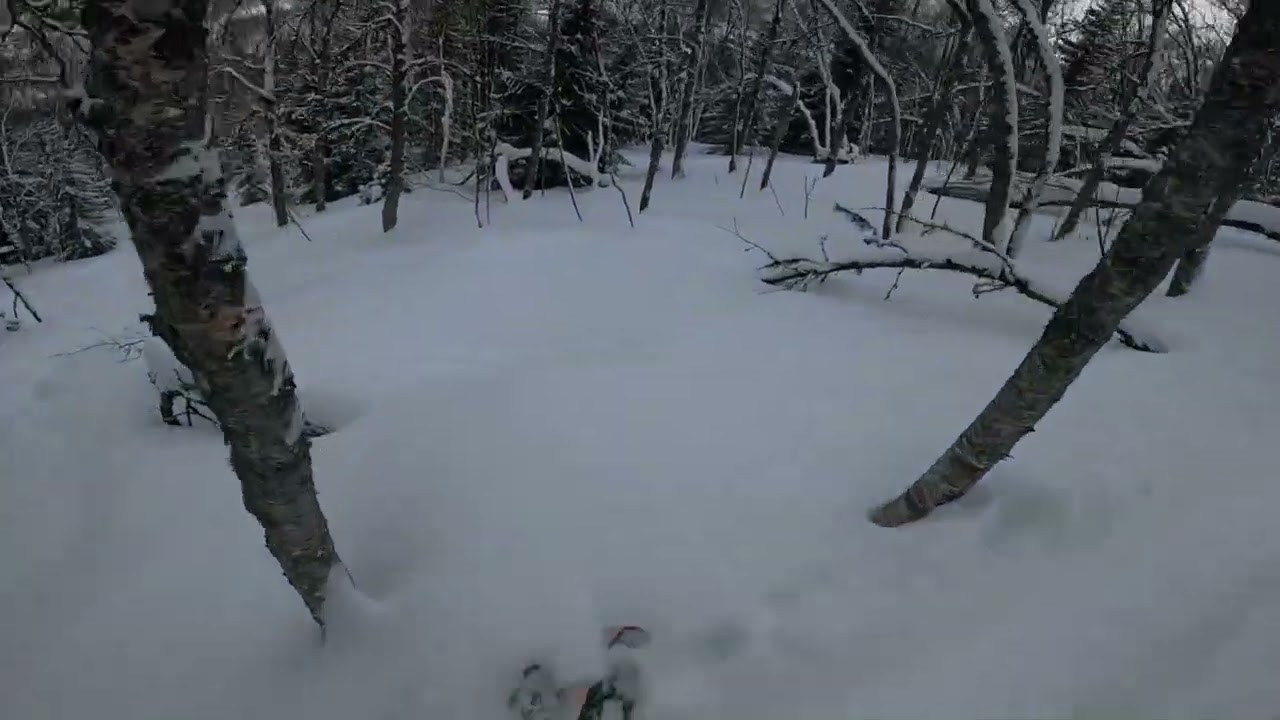 A powder glade run in Tromsdalen!