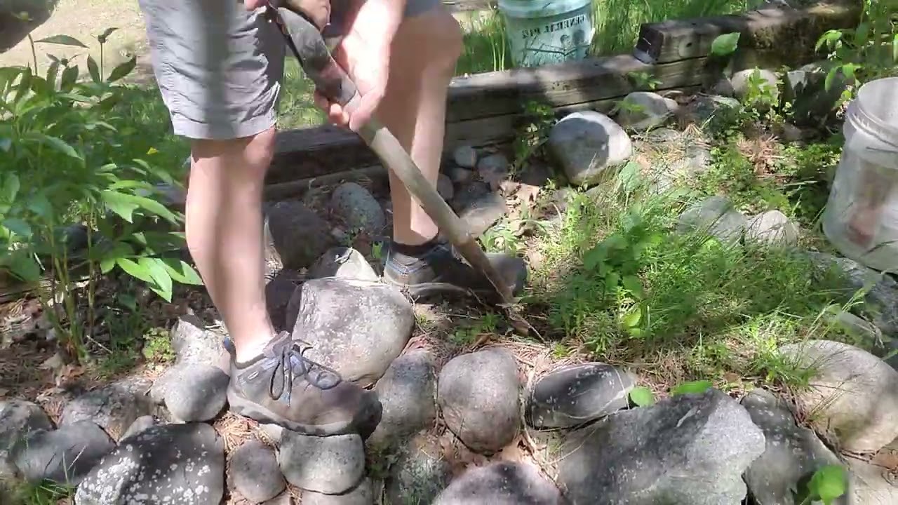 Homowner Reforestation 😅