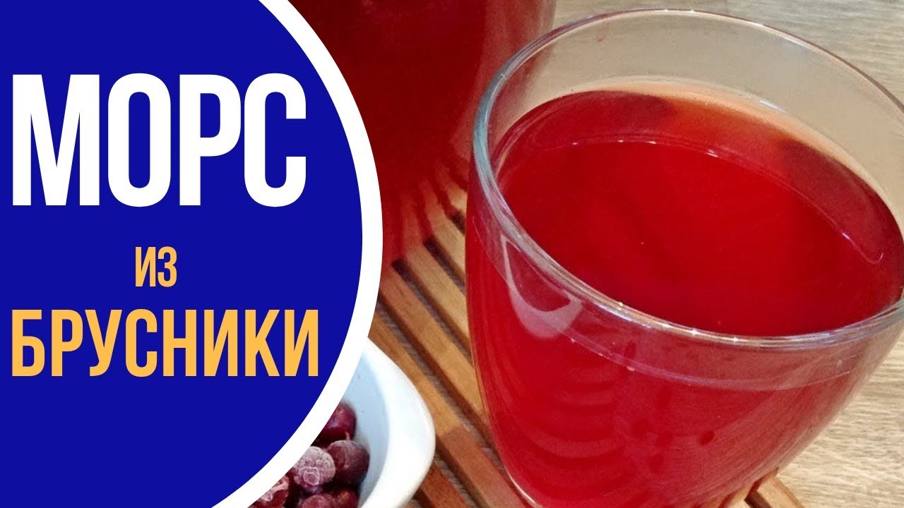 Морс из брусники: кулинарные рецепты вкусно и быстро