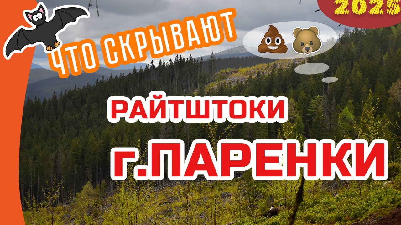 КТО 💩 на тропе❓❓❓ ЛЕТУЧАЯ МЫШЬ и индийская кухня 😄 😜