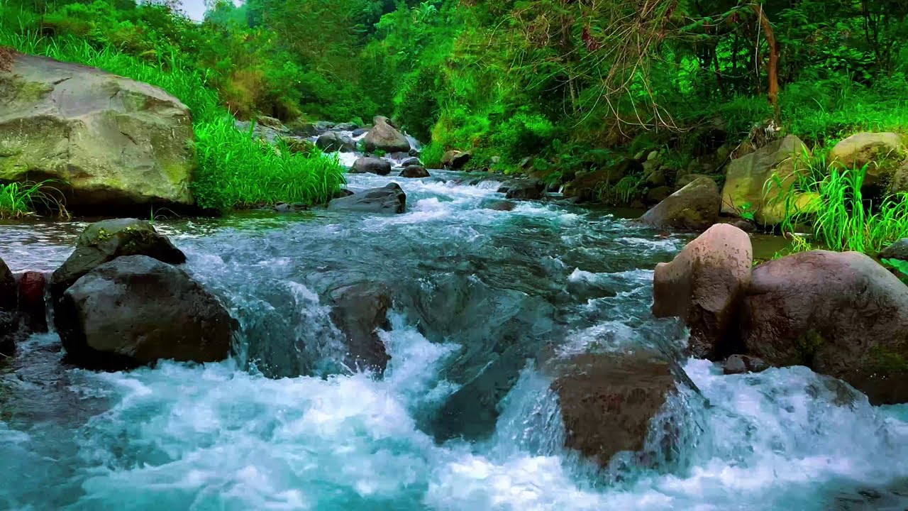 Natural River Sounds for Deep Sleep and Relaxation | Tranquil River Ambience