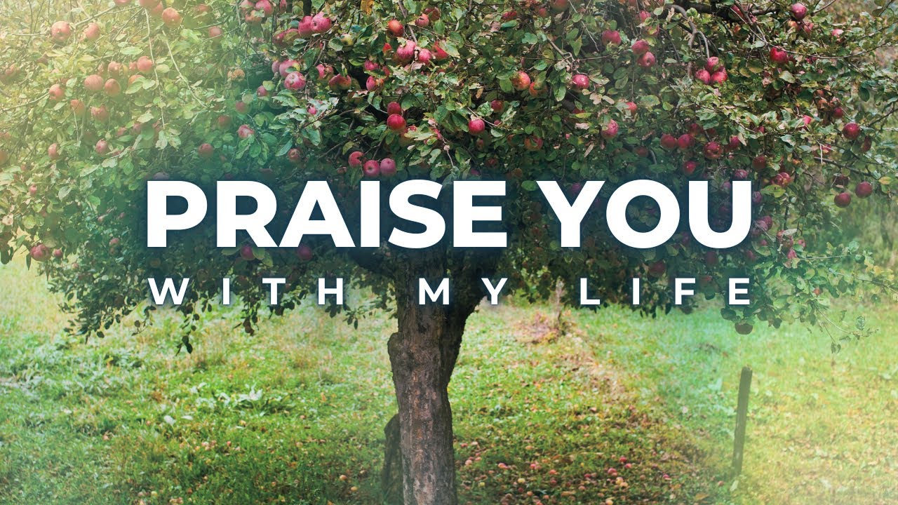 Praise You with My Life - The Way International