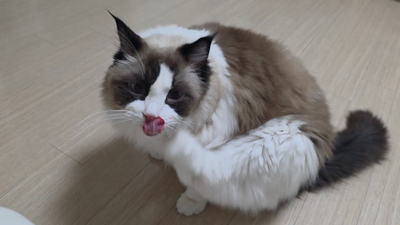 약속을 지켜요